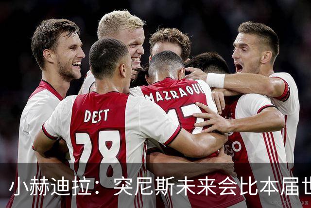 小赫迪拉：突尼斯未来会比本届世界杯更好 批评？我已经付出全力